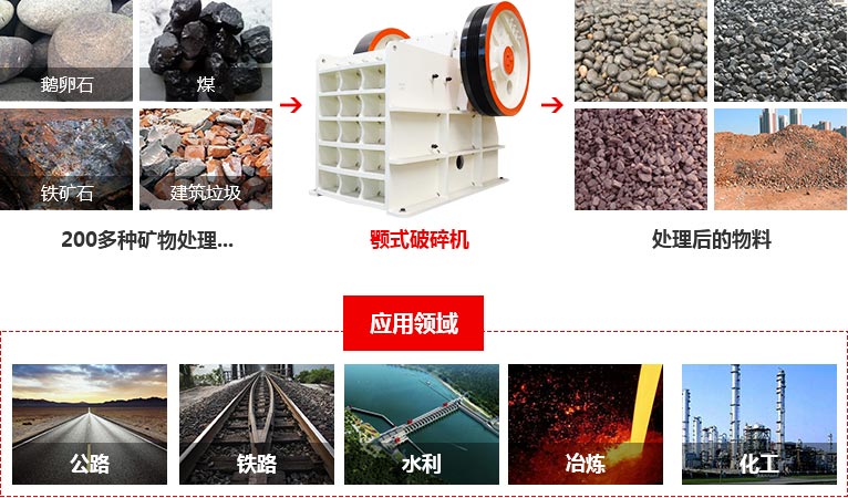 德版快播APP看片应用领域